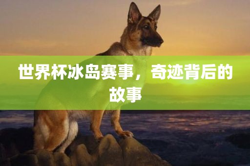 世界杯冰岛赛事，奇迹背后的故事